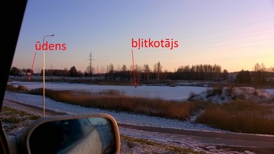 blitkotajs.jpg